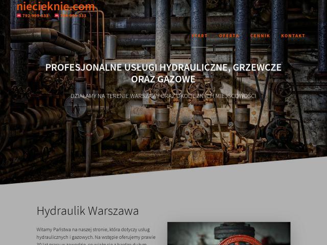 niecieknie.com Hubert Nowaczkiewicz